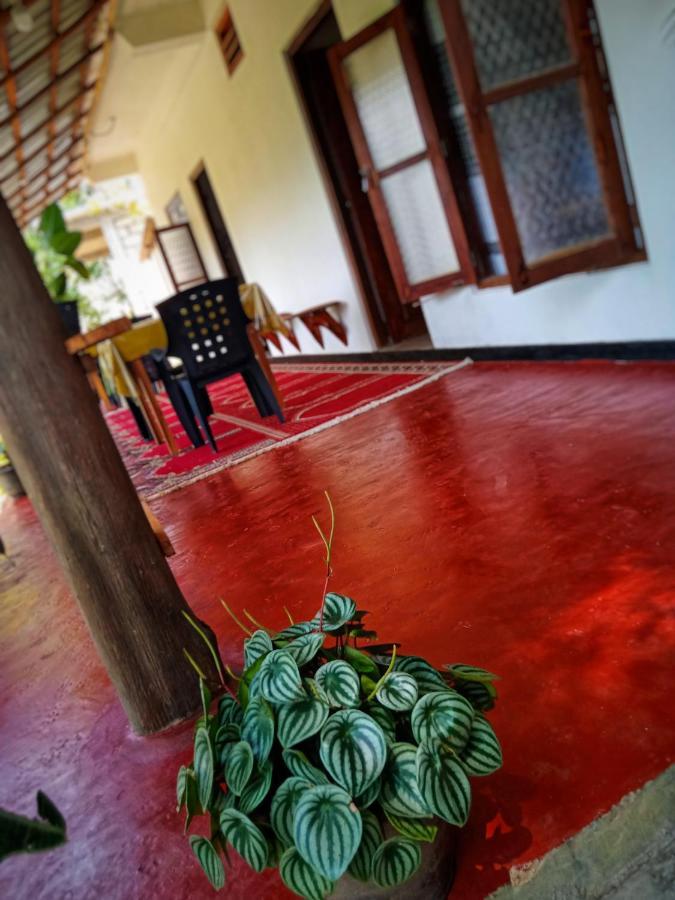 New Rose Villa Bandarawela Ella Exteriör bild