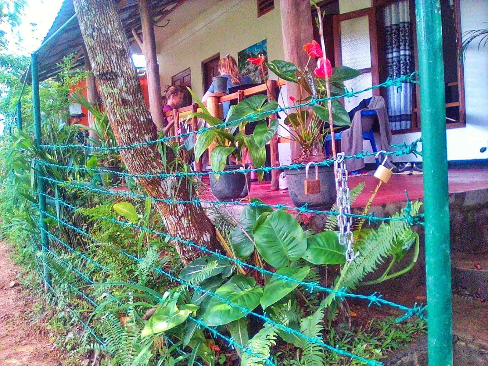New Rose Villa Bandarawela Ella Exteriör bild