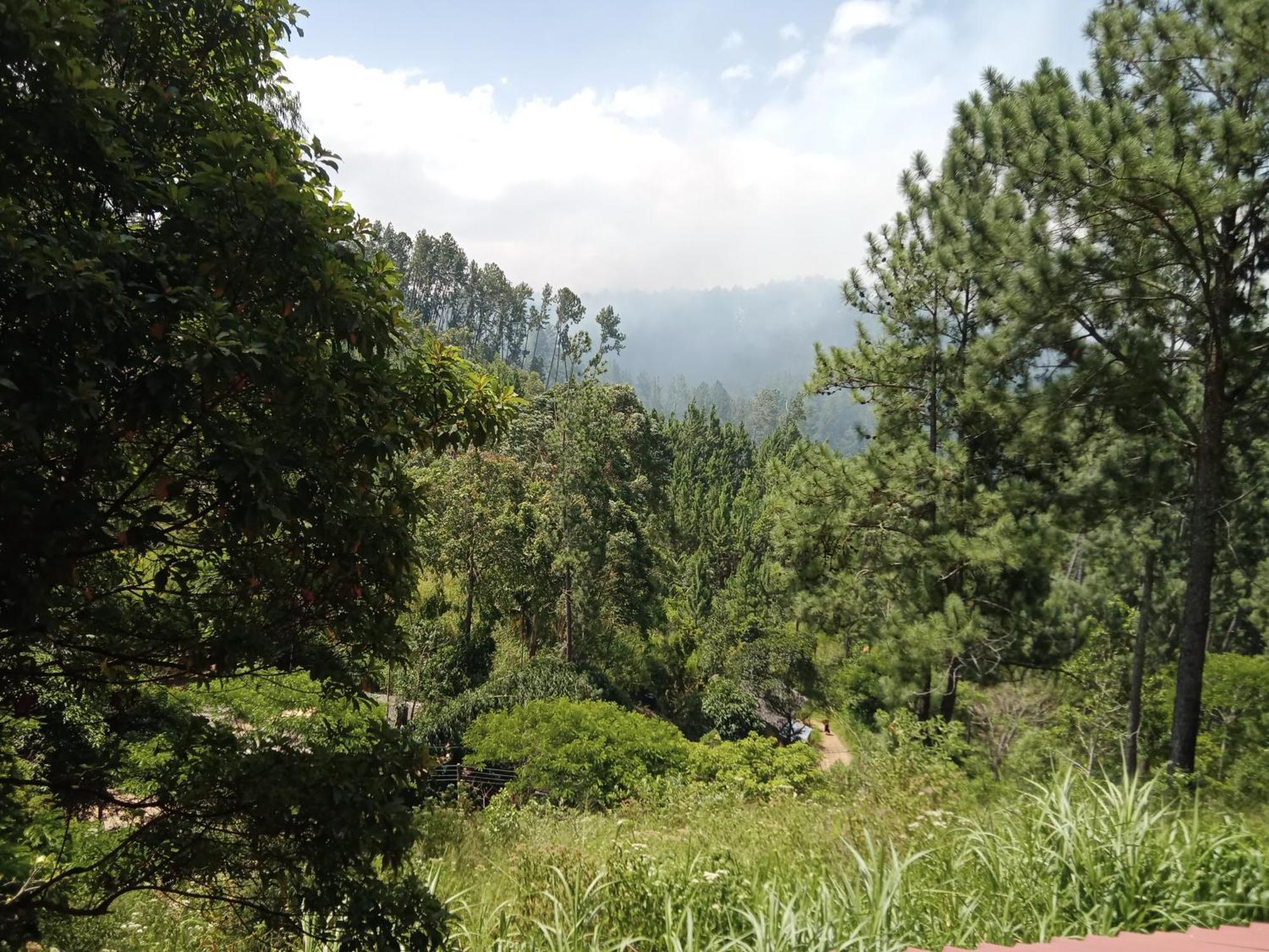 New Rose Villa Bandarawela Ella Exteriör bild