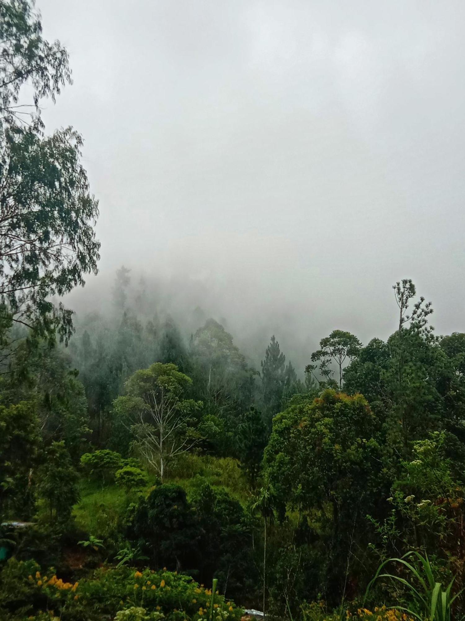 New Rose Villa Bandarawela Ella Exteriör bild