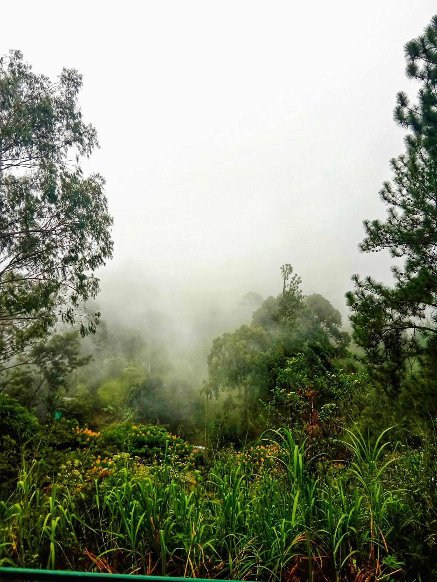 New Rose Villa Bandarawela Ella Exteriör bild