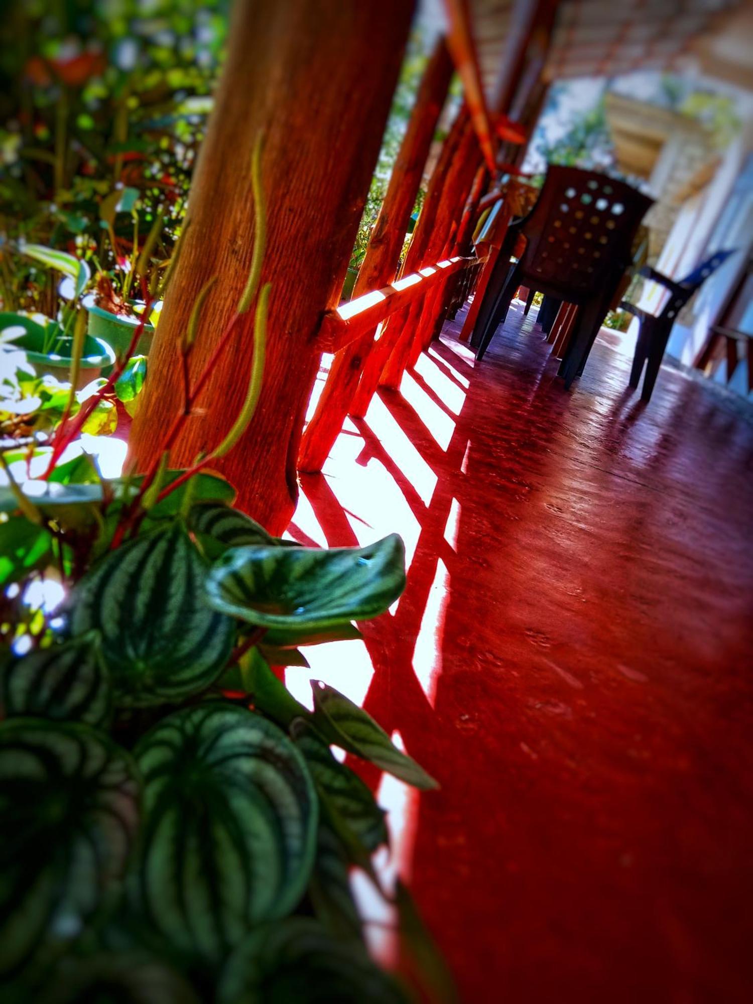 New Rose Villa Bandarawela Ella Exteriör bild