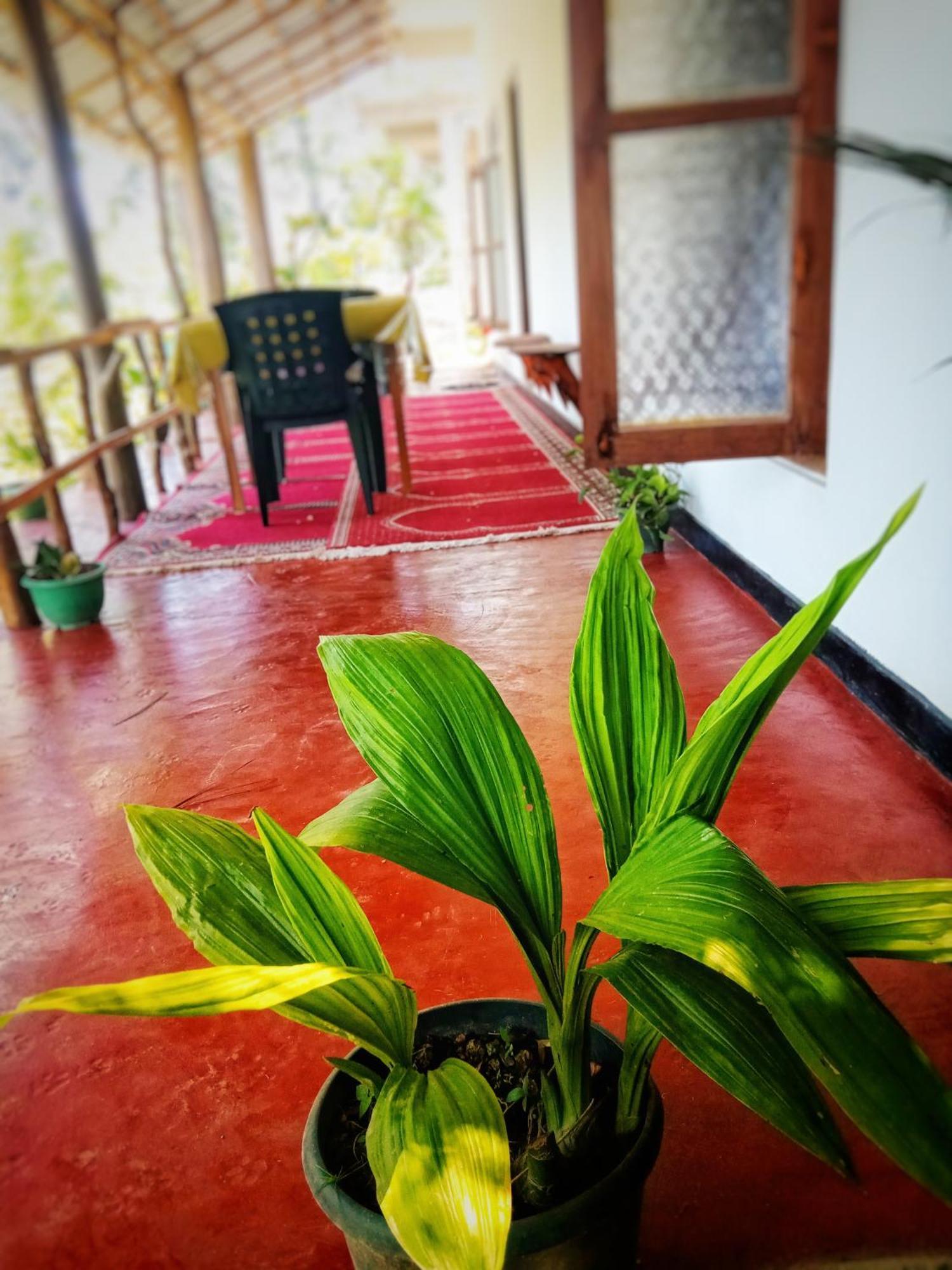New Rose Villa Bandarawela Ella Exteriör bild