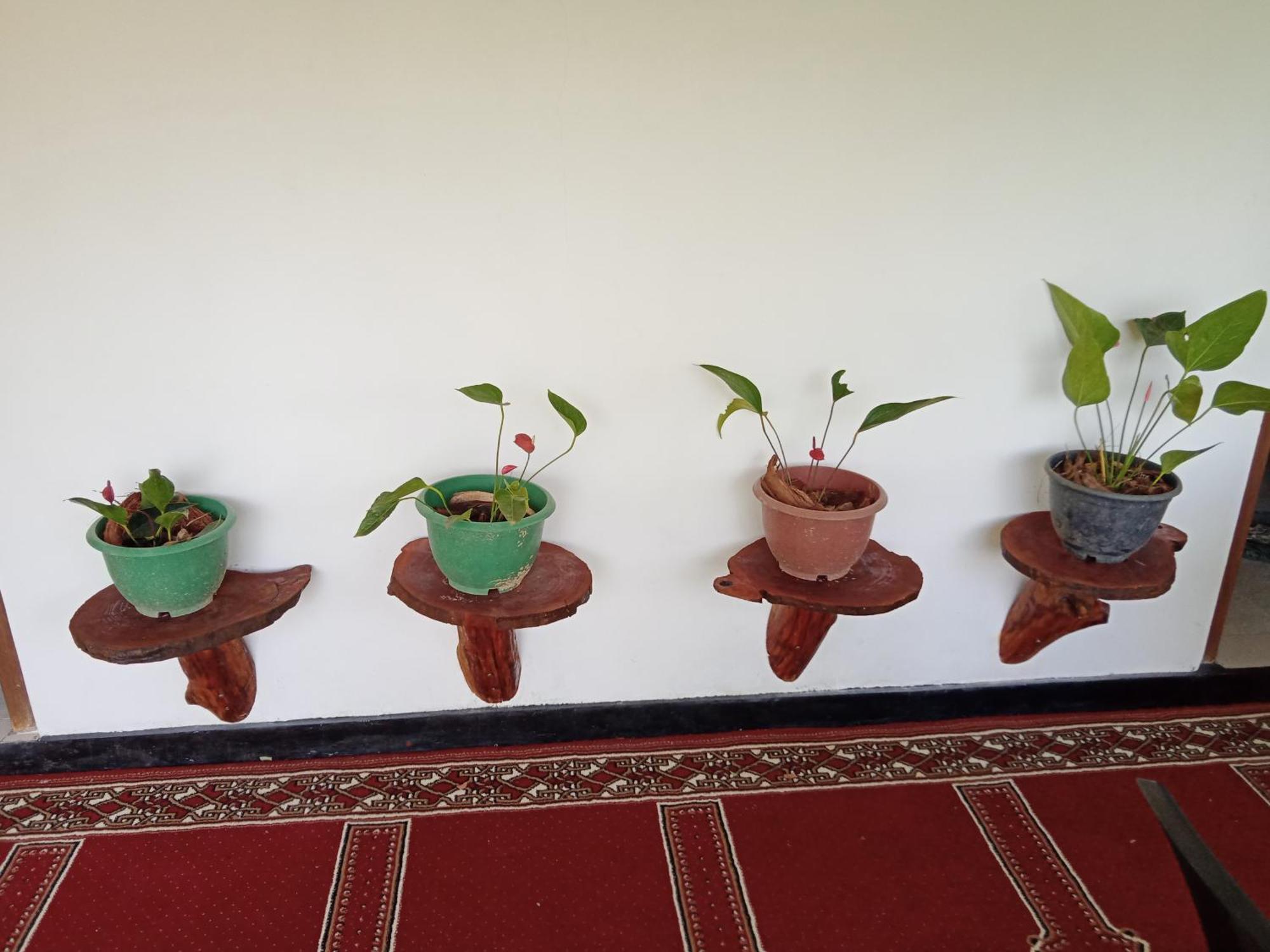 New Rose Villa Bandarawela Ella Exteriör bild