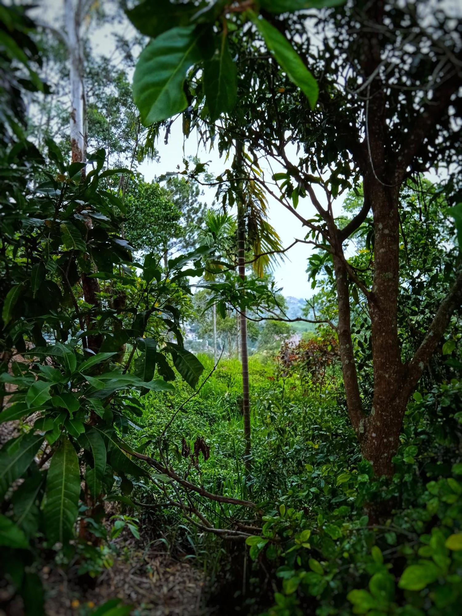New Rose Villa Bandarawela Ella Exteriör bild
