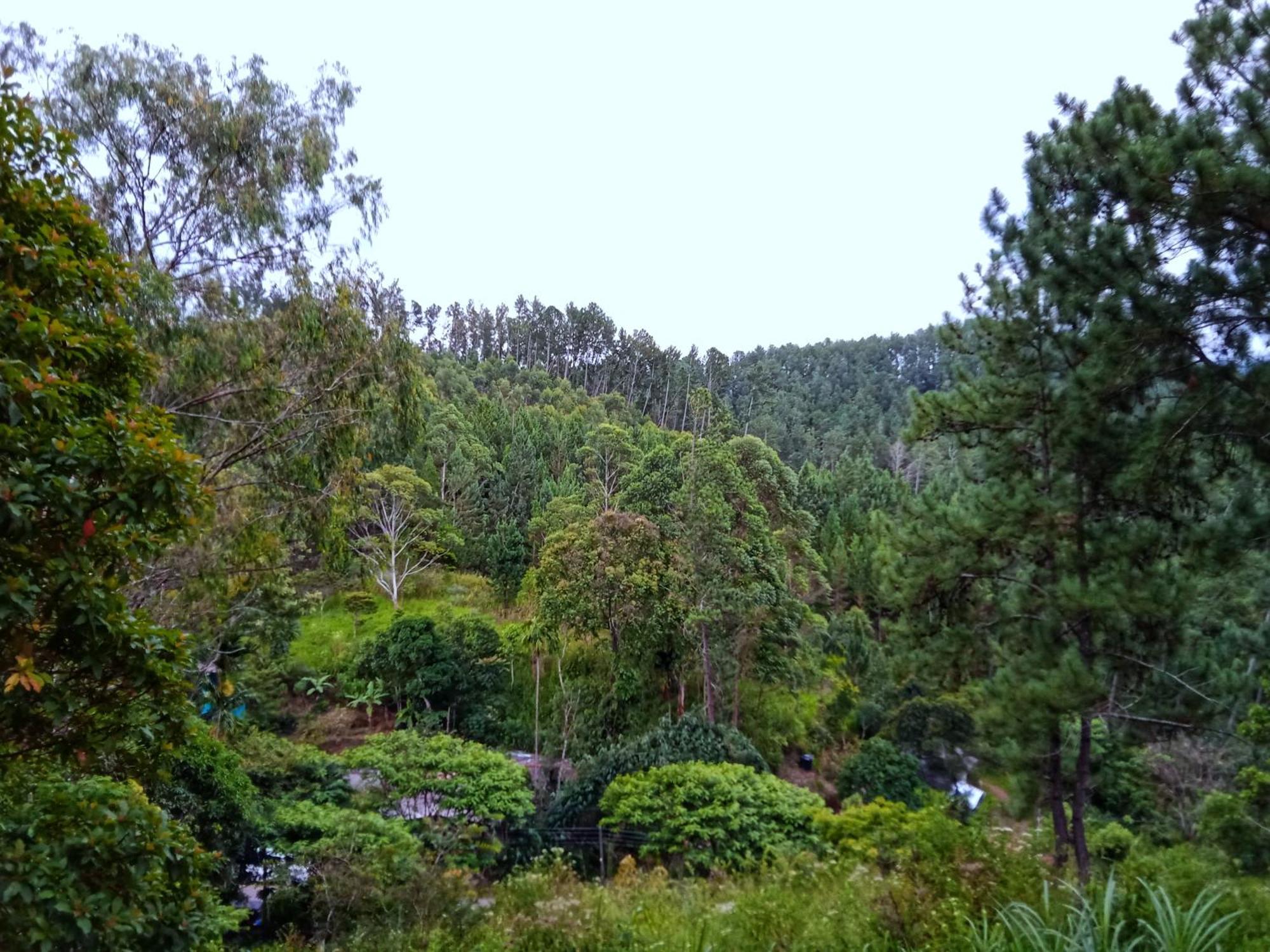 New Rose Villa Bandarawela Ella Exteriör bild