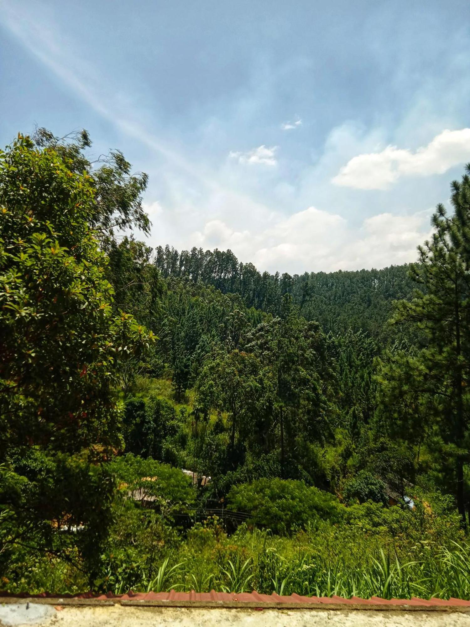 New Rose Villa Bandarawela Ella Exteriör bild